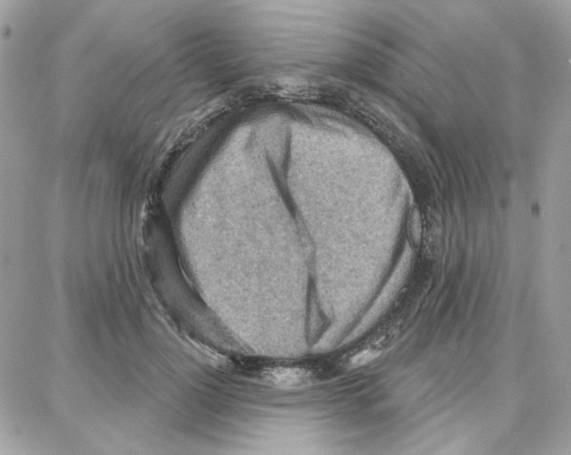 X0000087740748200706041036