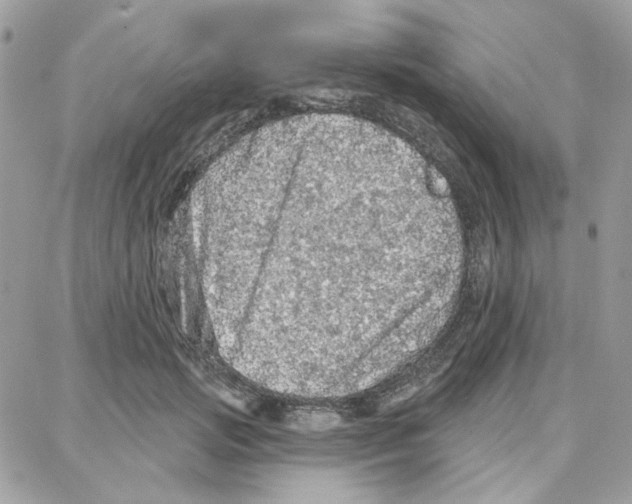 X0000087740749200706041036