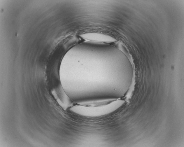 X0000087740750200706041036