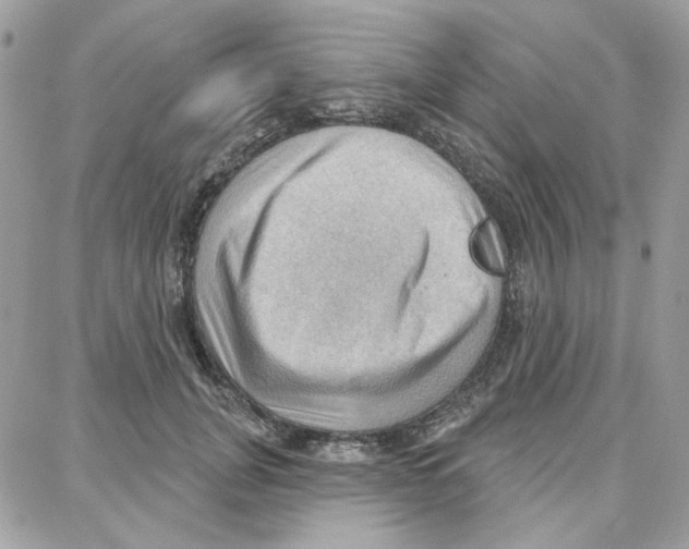 X0000087740751200706041036