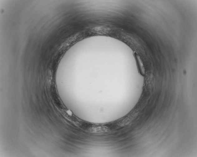 X0000087740752200706041036