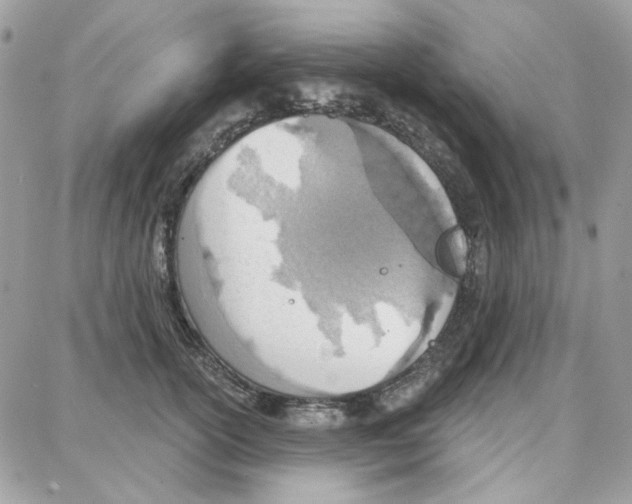 X0000087740754200706041036