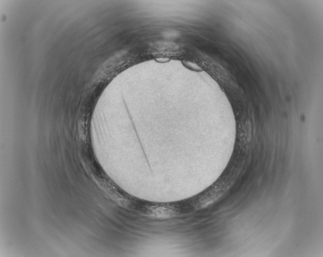 X0000087740755200706041036