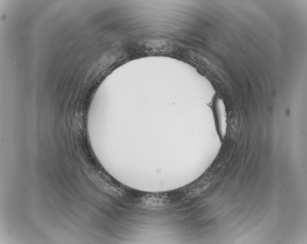 X0000087740756200706041036