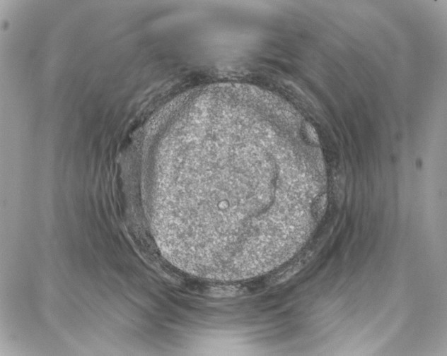 X0000087740757200706041036