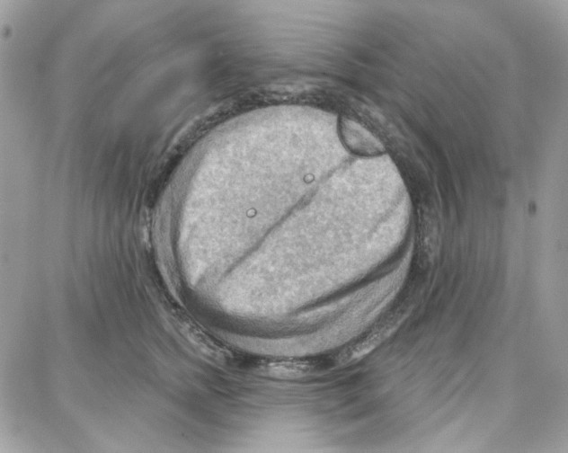 X0000087740758200706041036