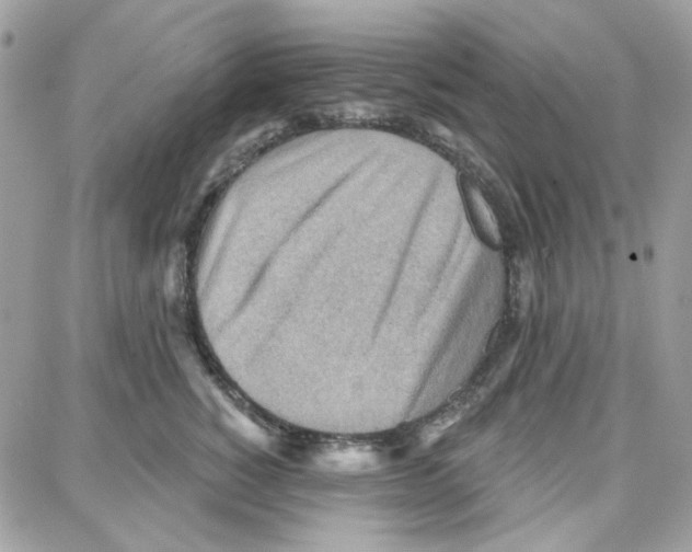 X0000087740760200706041036