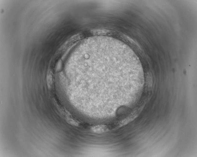 X0000087740761200706041036