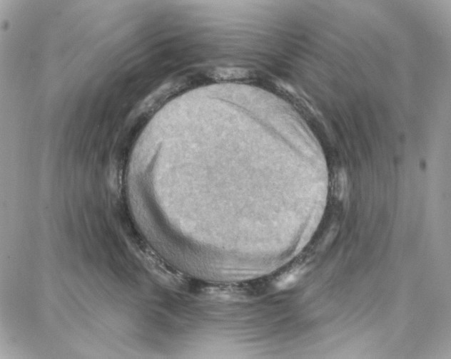 X0000087740763200706041036