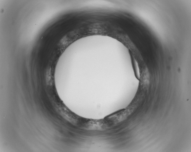 X0000087740764200706041036