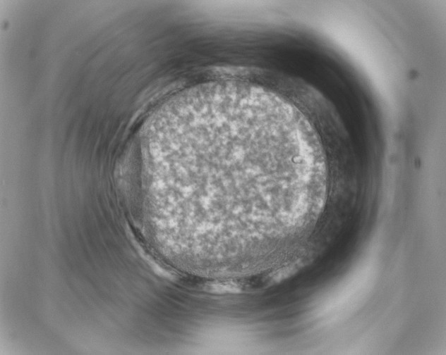 X0000087740765200706041036