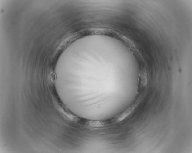 X0000087740766200706041036