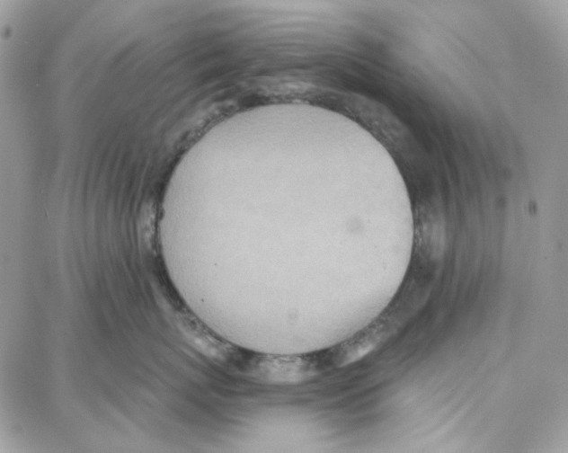 X0000087740767200706041036