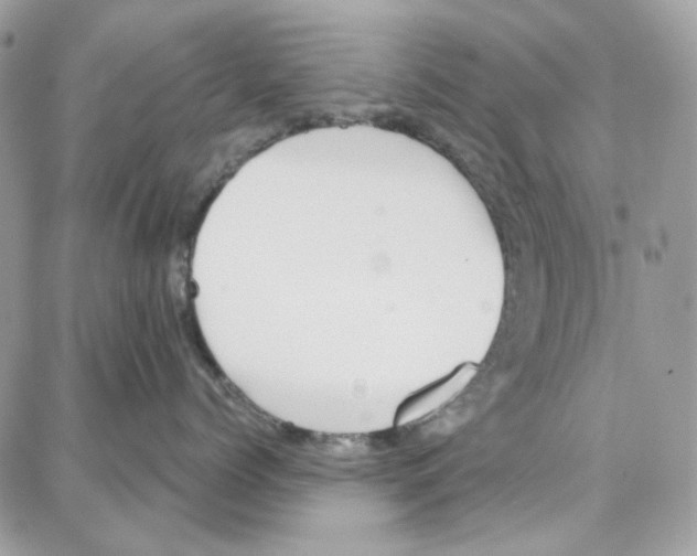 X0000087740768200706041037