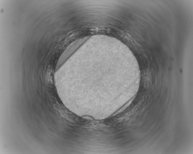 X0000087740770200706041036