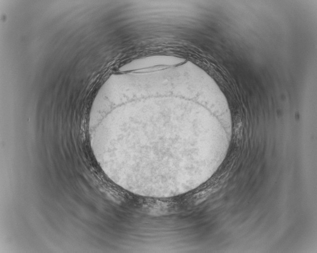 X0000087740772200706041036