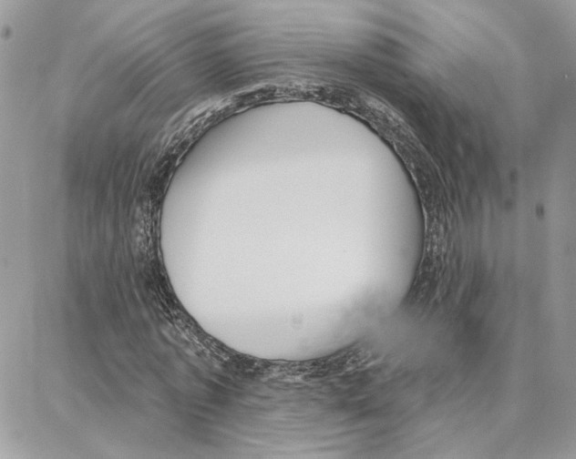 X0000087740773200706041036