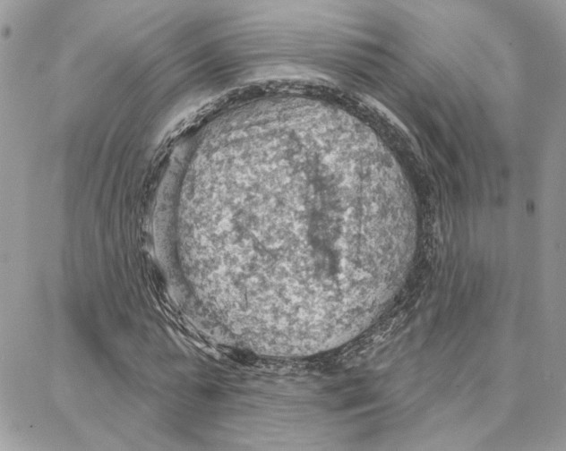 X0000087740775200706041036