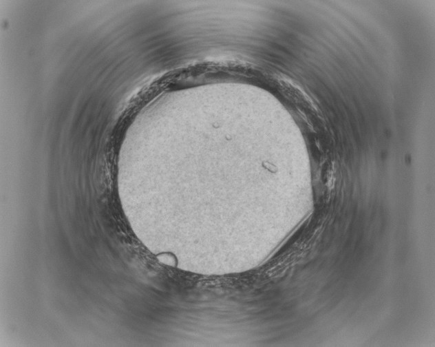 X0000087740776200706041036