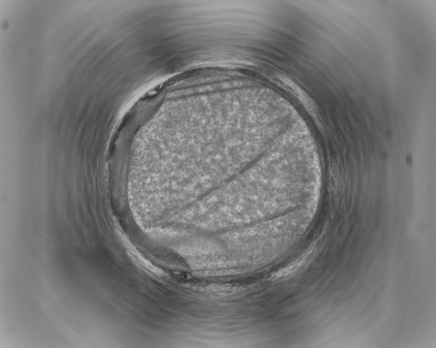 X0000087740779200706041036