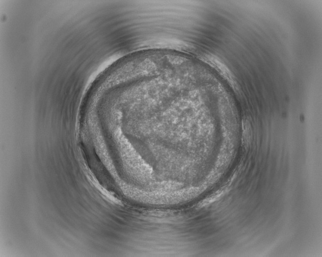 X0000087740780200706041036