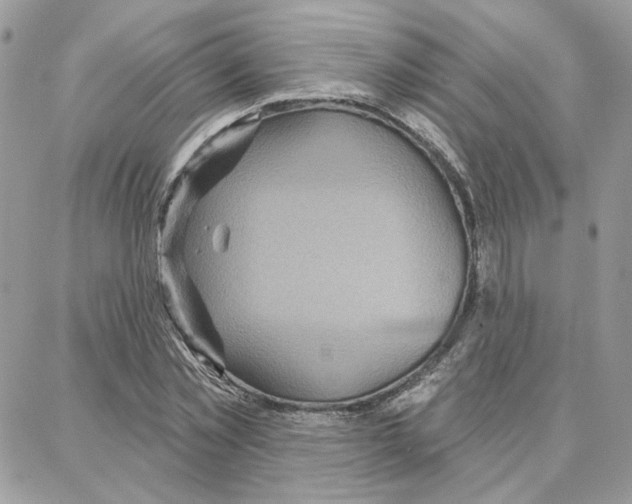 X0000087740781200706041036