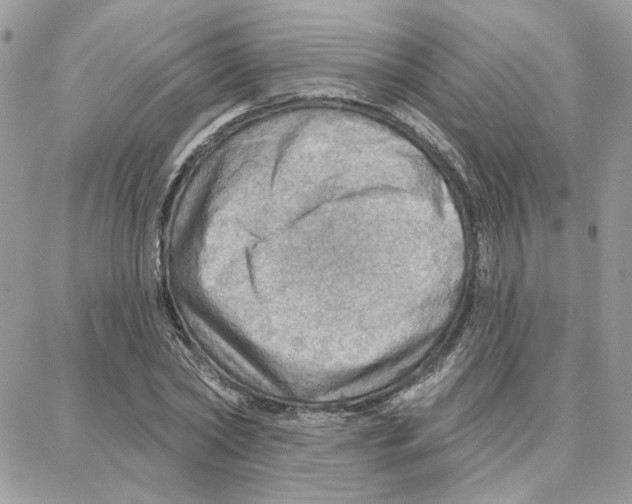 X0000087740782200706041036