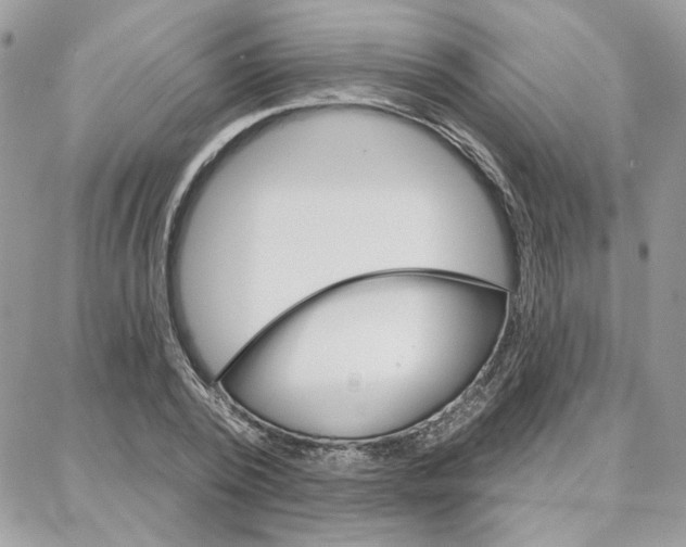 X0000087740784200706041035