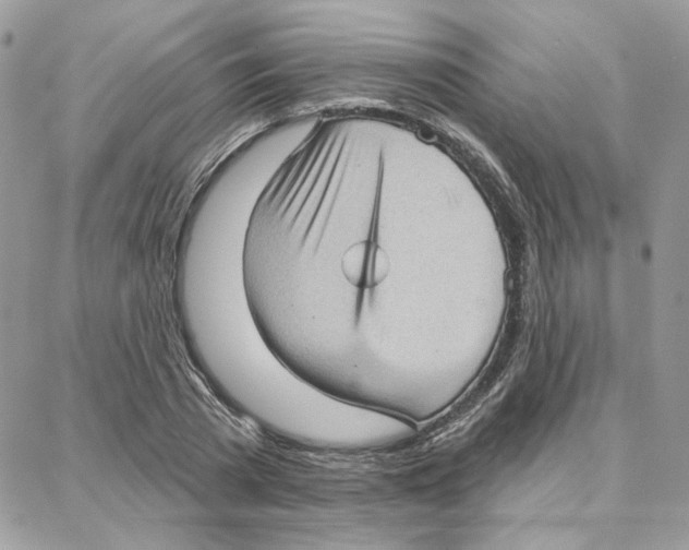 X0000087740785200706041035