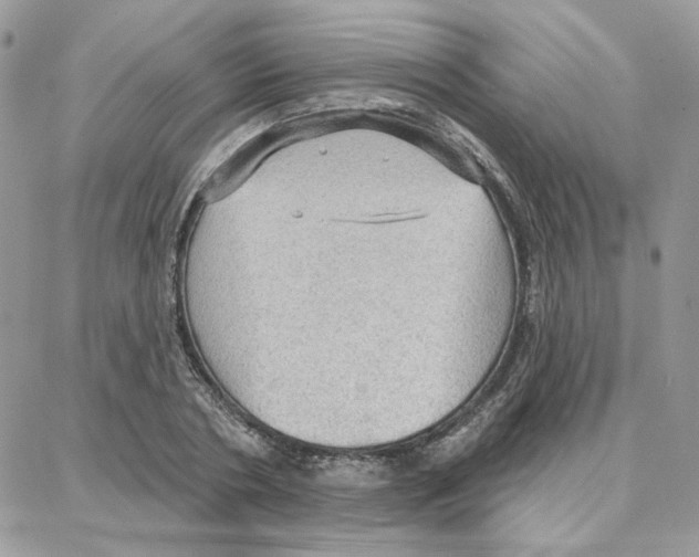 X0000087740786200706041035