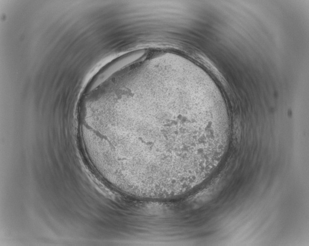 X0000087740787200706041035