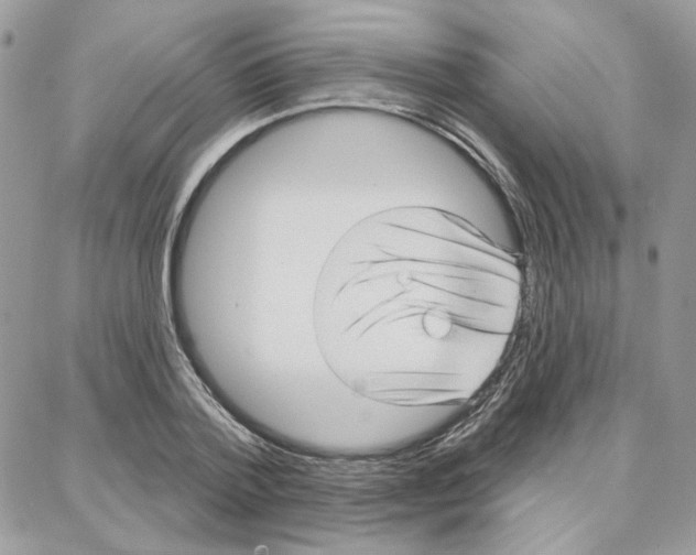 X0000087740788200706041035