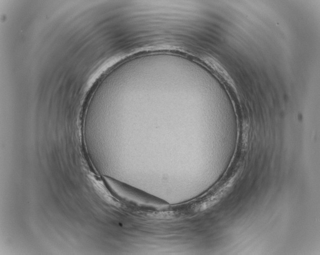 X0000087740789200706041035