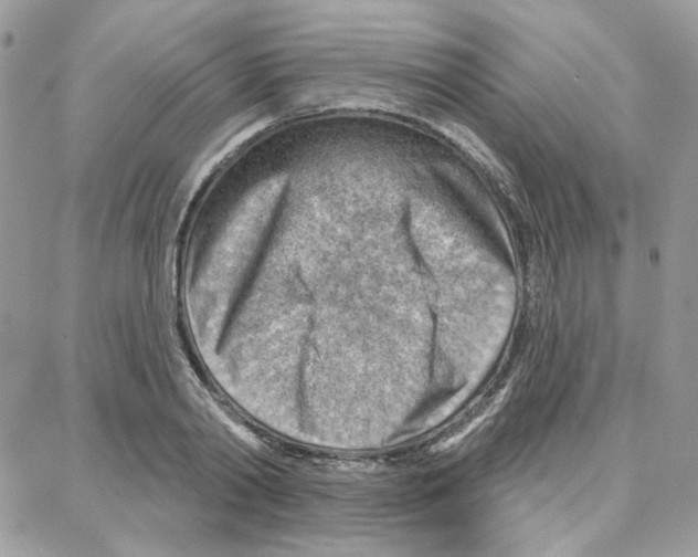 X0000087740790200706041035