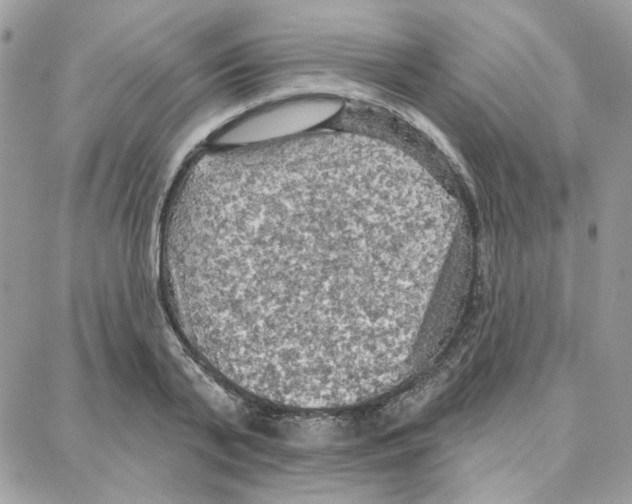 X0000087740791200706041035