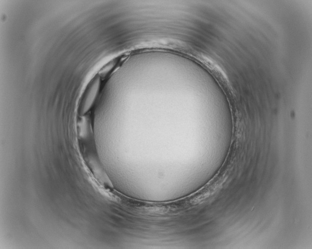 X0000087740792200706041035