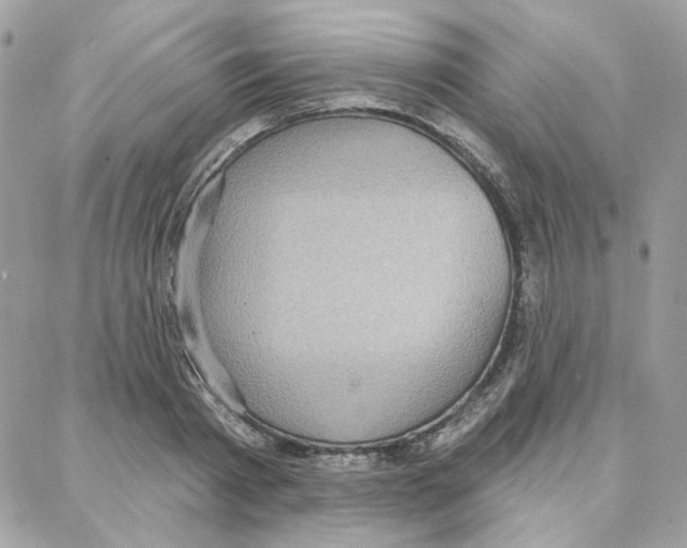 X0000087740793200706041035