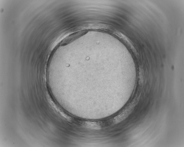 X0000087740794200706041035