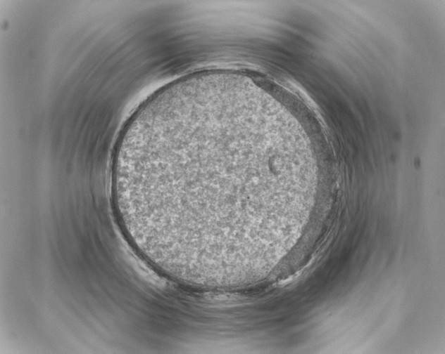 X0000087740795200706041035