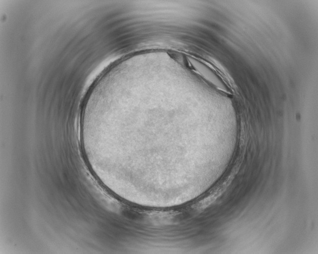 X0000087740796200706041035