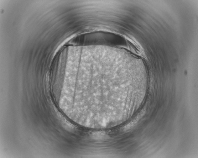 X0000087740798200706041035