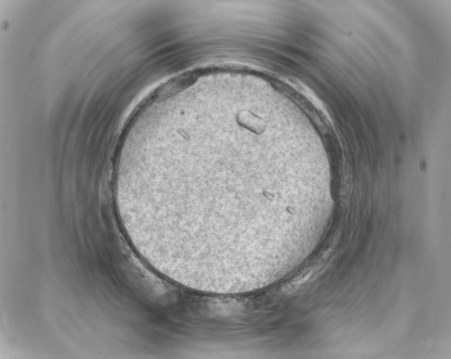 X0000087740799200706041035