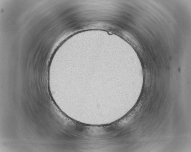 X0000087740800200706041035