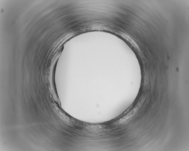 X0000087740801200706041035