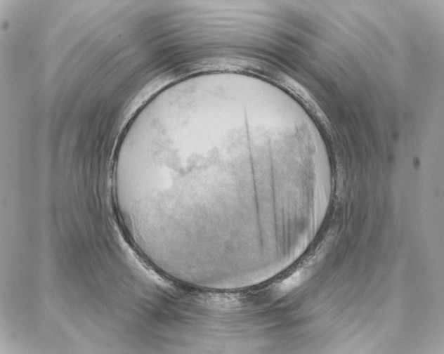 X0000087740802200706041035