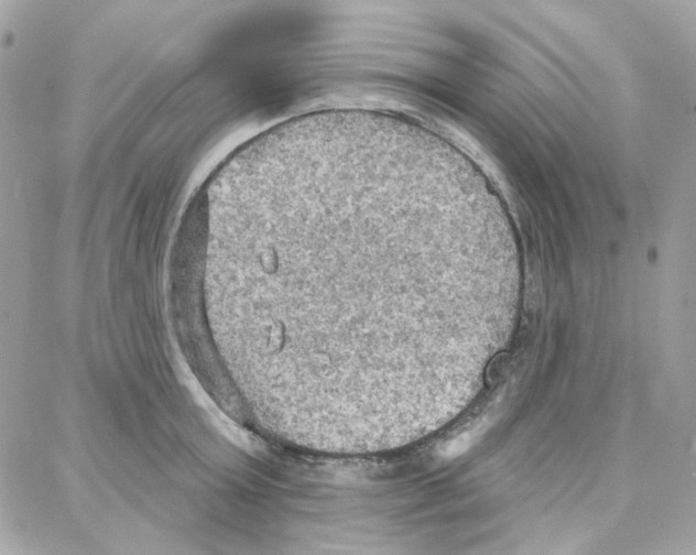 X0000087740803200706041035