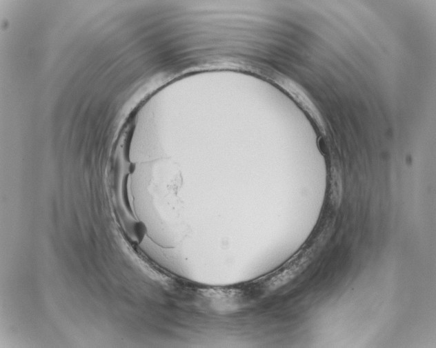 X0000087740805200706041035