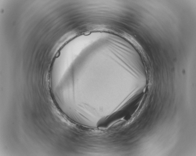 X0000087740806200706041035