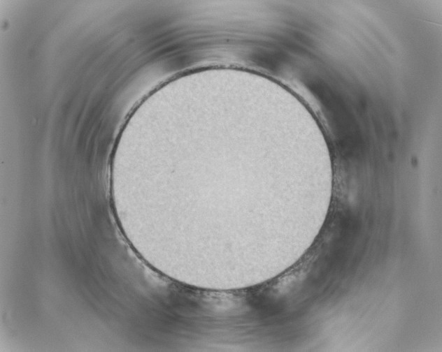 X0000087740807200706041035