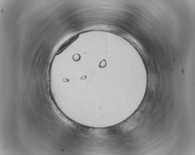 X0000087740808200706041035